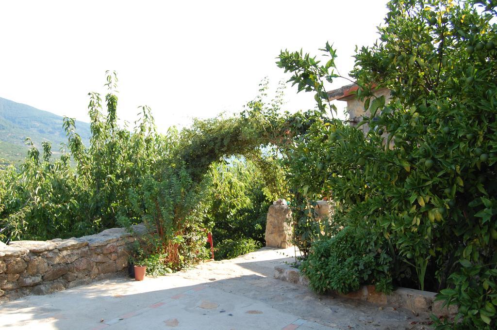 Casas Rurales Carrizosa Navaconcejo Exteriör bild